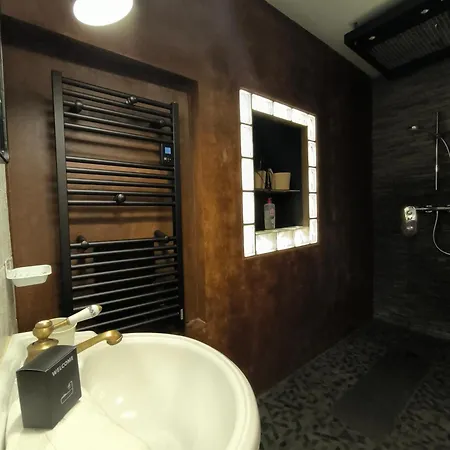 Vintage Spacieux Centre Apartment Pau