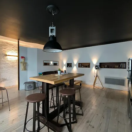 Apartment Vintage Spacieux Centre Pau